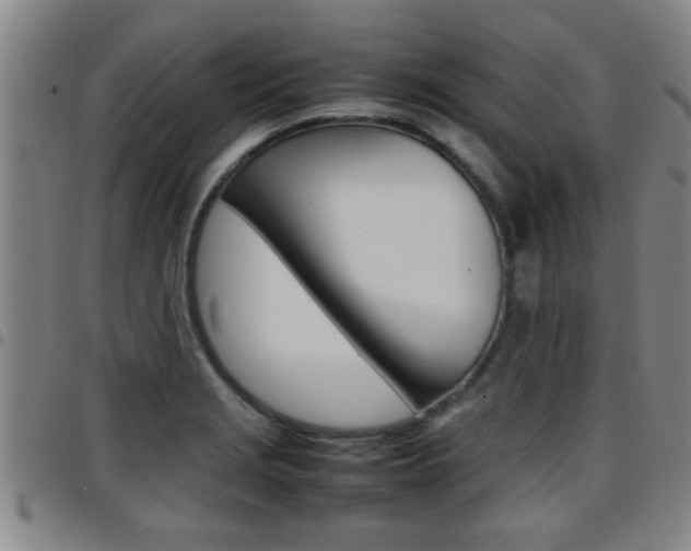 X0000097861229200803140849