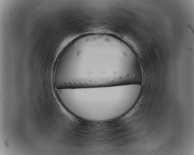 X0000097861231200803140849