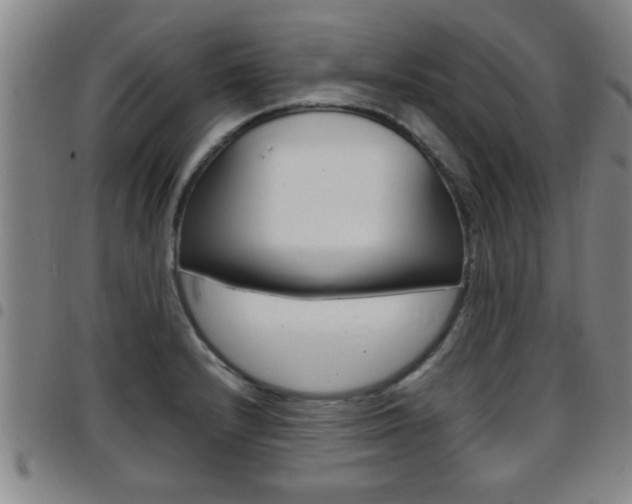 X0000097861232200803140849