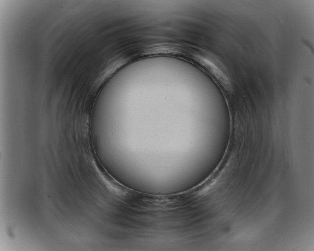 X0000097861233200803140849