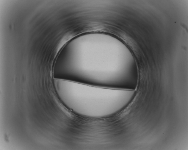 X0000097861234200803140849