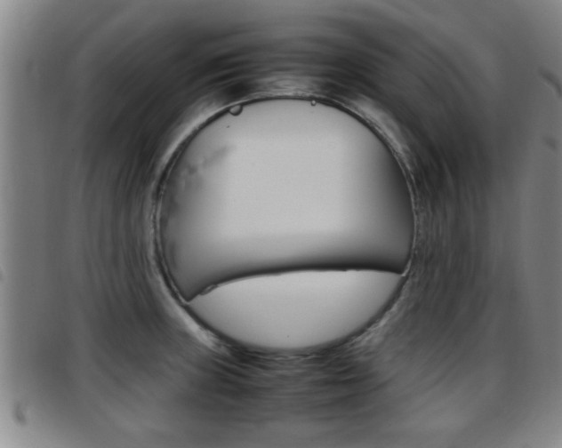 X0000097861235200803140849