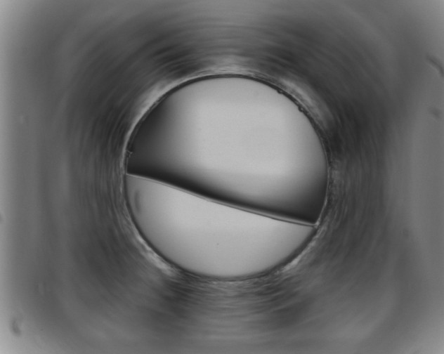 X0000097861236200803140849
