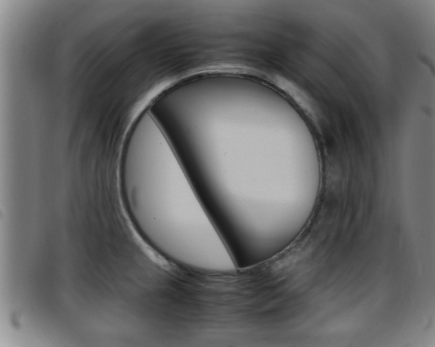 X0000097861237200803140849