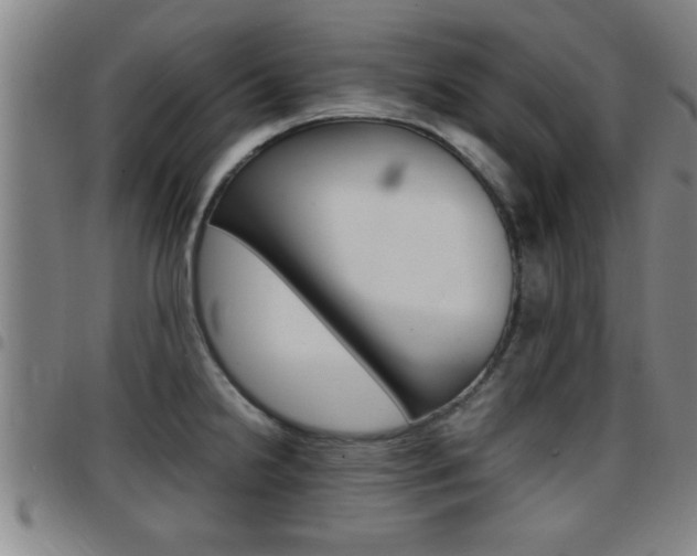X0000097861238200803140849