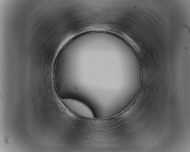 X0000097861240200803140849