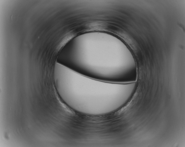 X0000097861241200803140849
