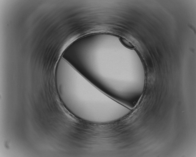 X0000097861242200803140849