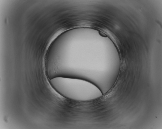 X0000097861243200803140849