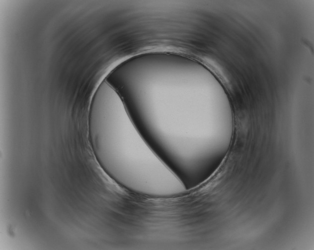 X0000097861244200803140849