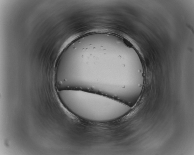 X0000097861245200803140849