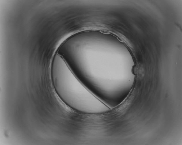 X0000097861246200803140849