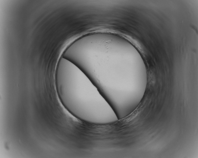 X0000097861247200803140849
