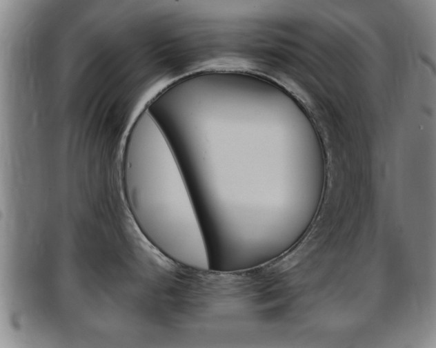 X0000097861248200803140849