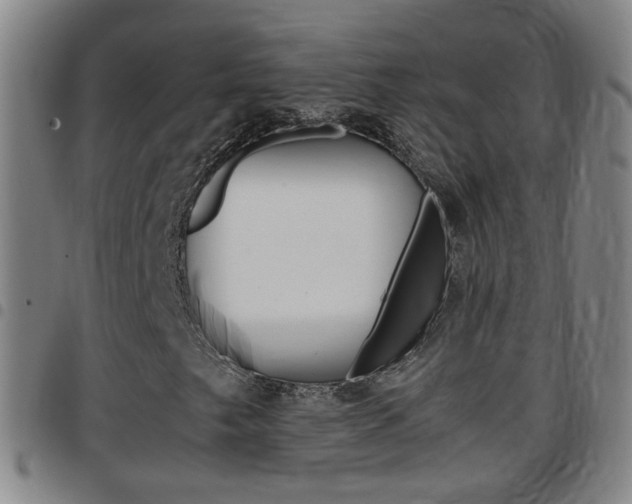 X0000097861249200803140848