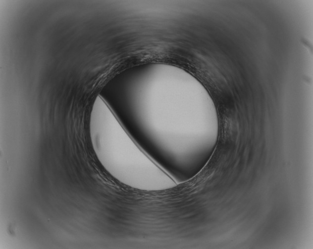 X0000097861250200803140848