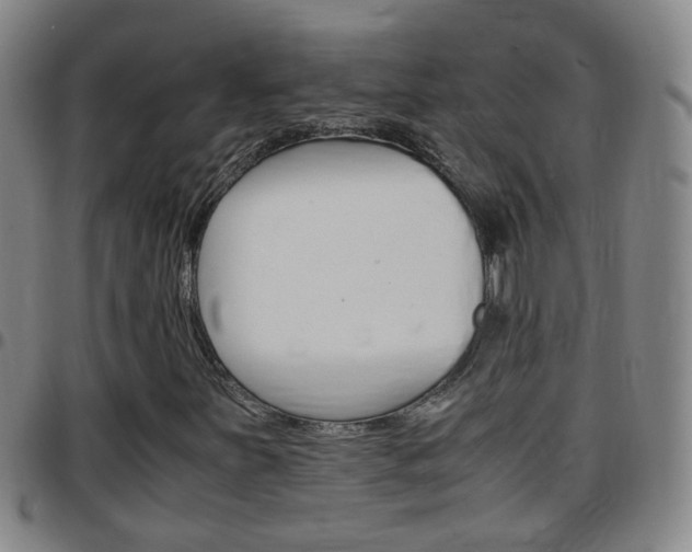 X0000097861251200803140848