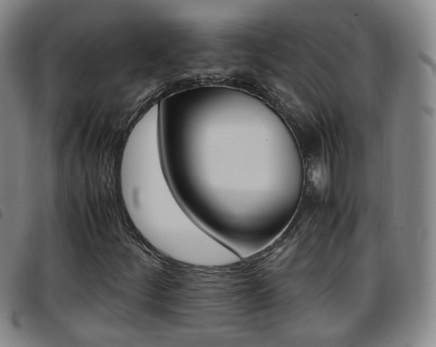 X0000097861252200803140848