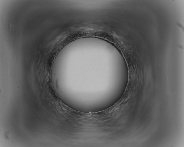 X0000097861253200803140848