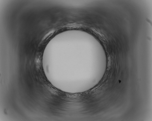 X0000097861254200803140848