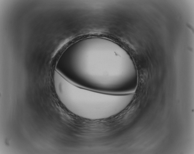 X0000097861256200803140848
