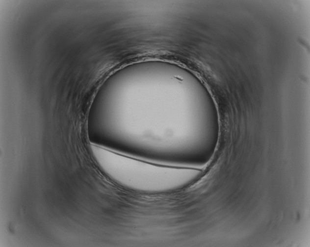 X0000097861257200803140848