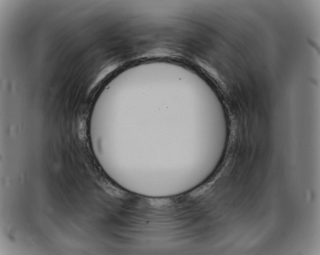 X0000097861258200803140848