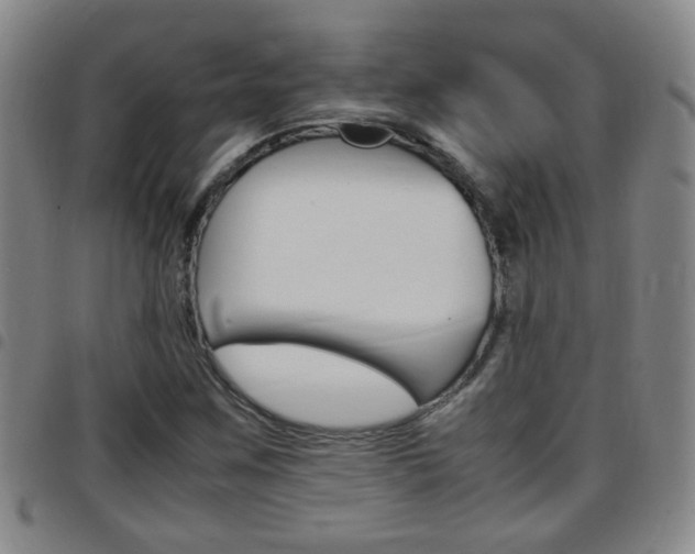X0000097861259200803140848
