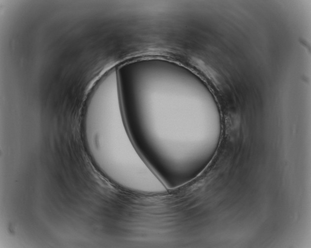 X0000097861260200803140848