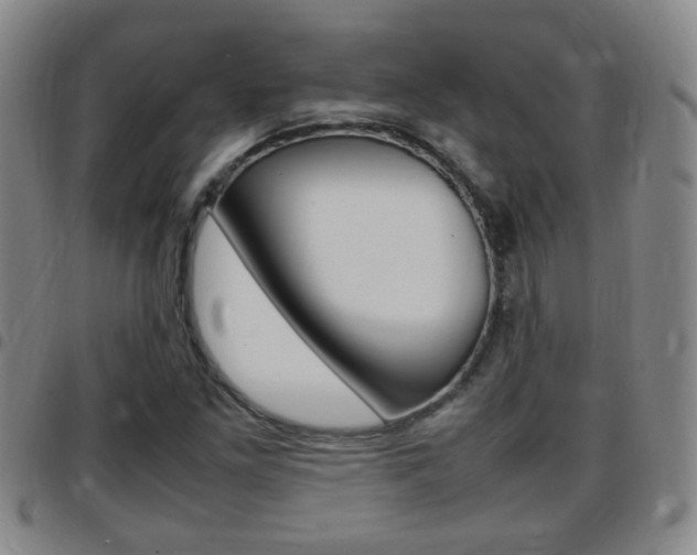 X0000097861261200803140848