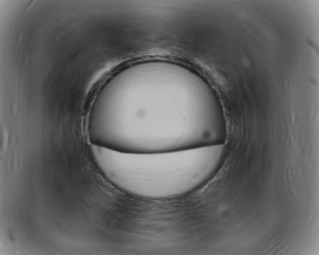 X0000097861262200803140848