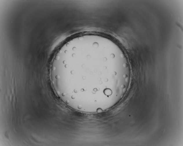 X0000097861263200803140848