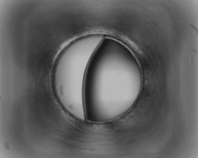 X0000097861264200803140848