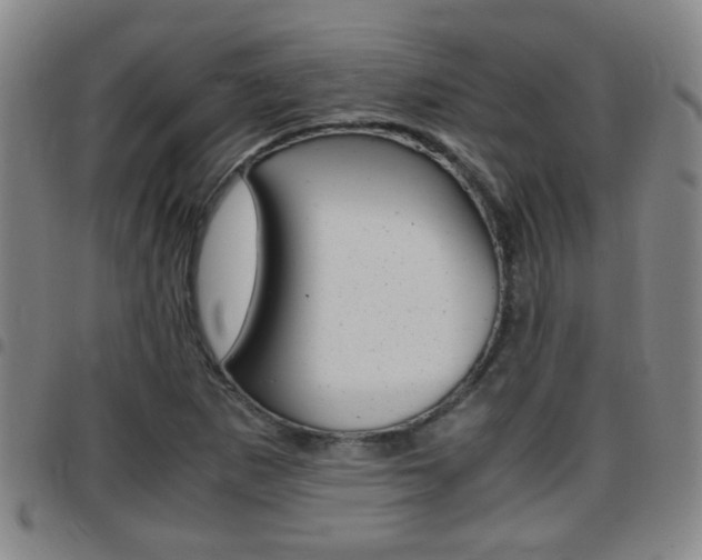 X0000097861265200803140848