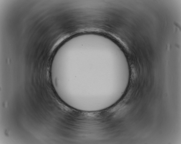 X0000097861266200803140848