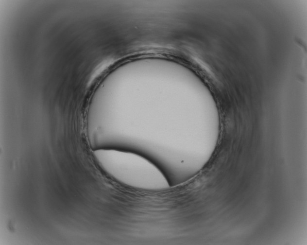 X0000097861267200803140848