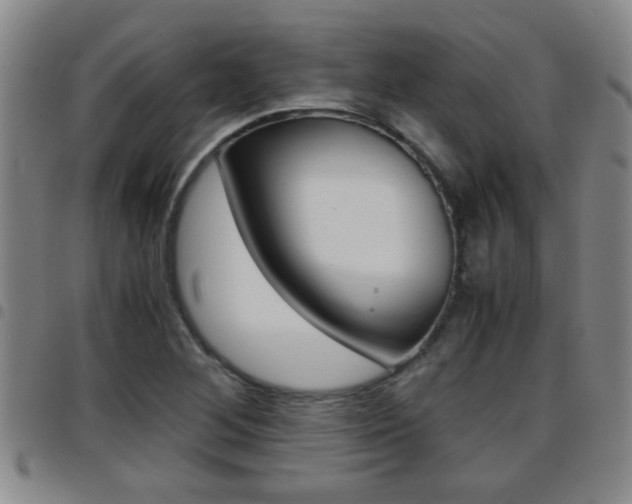 X0000097861268200803140848