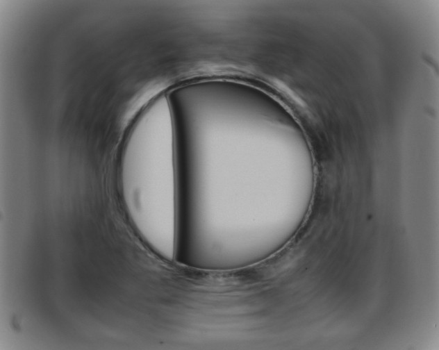 X0000097861269200803140848