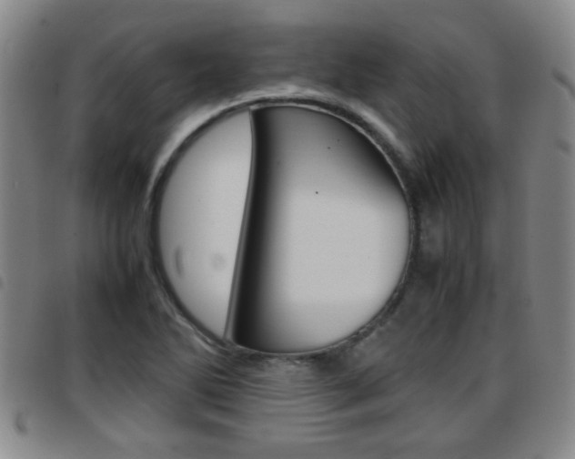 X0000097861270200803140848