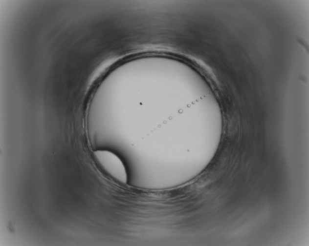 X0000097861271200803140848