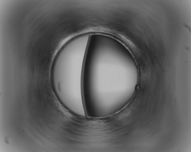 X0000097861272200803140848