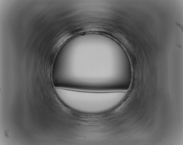 X0000097861273200803140848