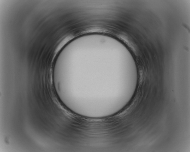 X0000097861274200803140848