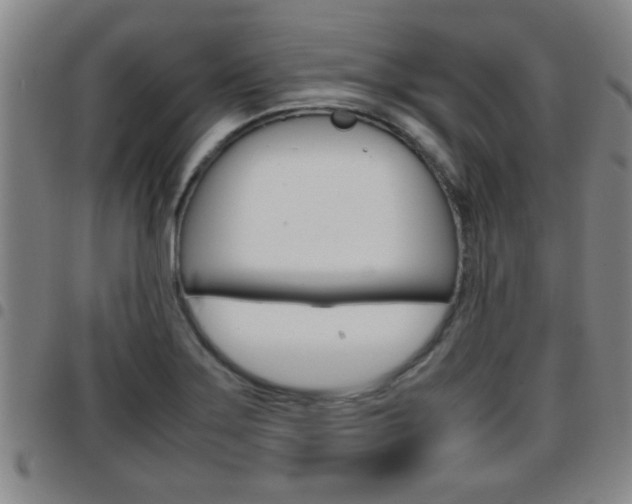 X0000097861275200803140848