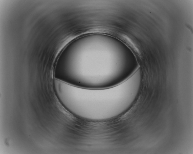 X0000097861276200803140848