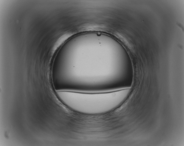 X0000097861277200803140848