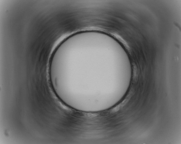 X0000097861278200803140848