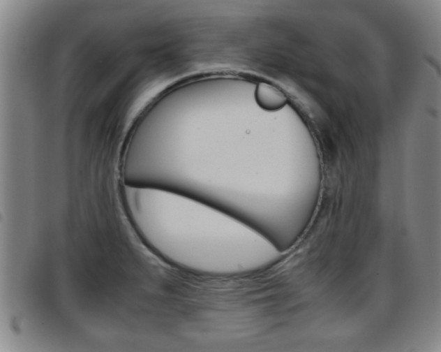 X0000097861279200803140848