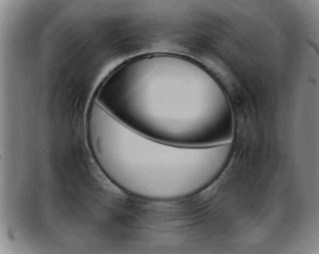 X0000097861280200803140848