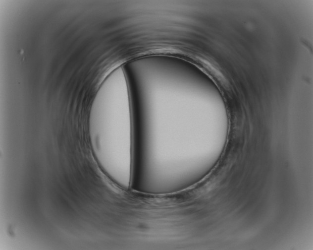 X0000097861281200803140848